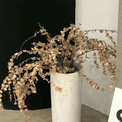 Furry插画光影技巧兽圈群